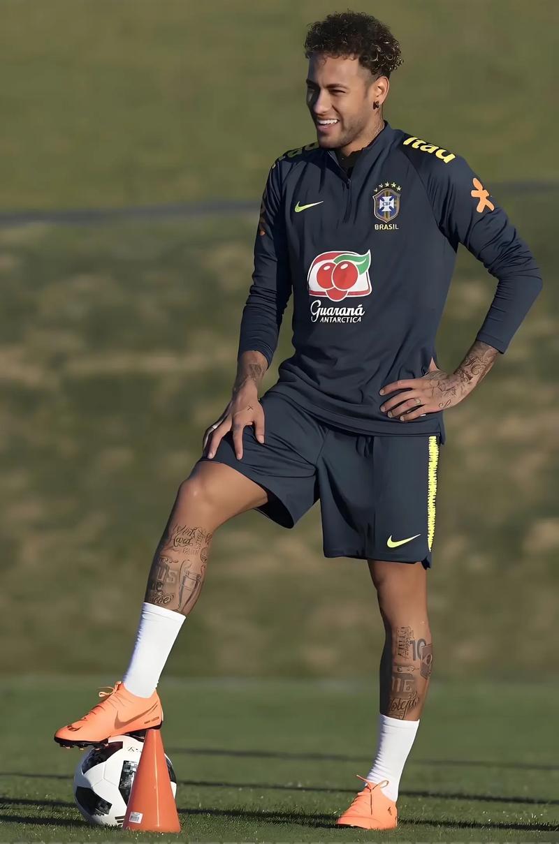 球迷：这就是我热爱这项运动的理由